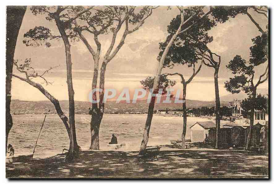 CPA Juan les Pins La pinede et la plage
