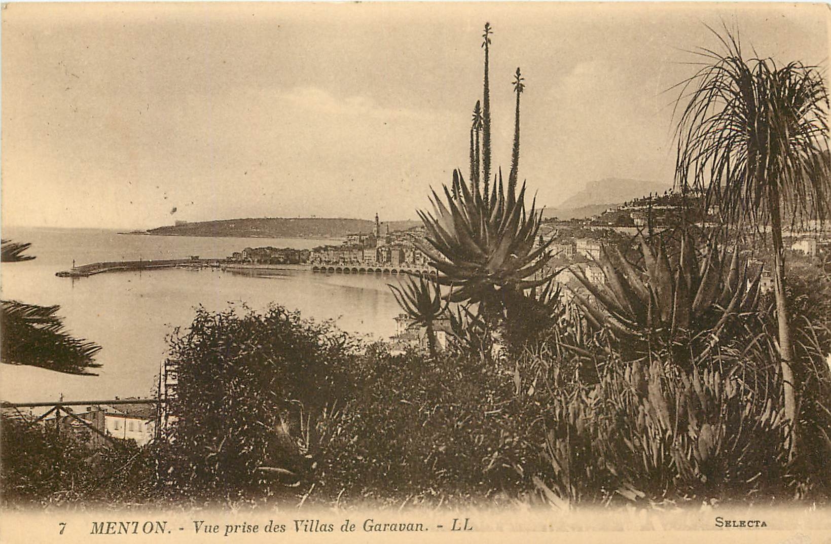CPA Menton Vue prise des Villas de Garavan 