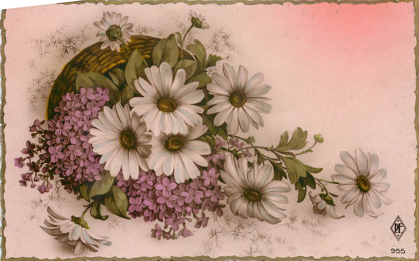 CPA Fleurs