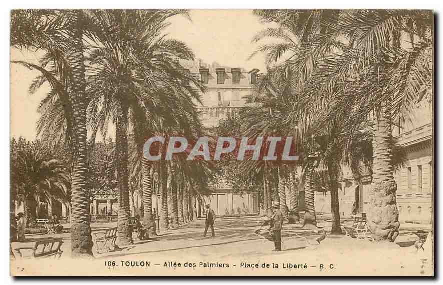 CPA Toulon Allee des Palmiers Place de la Liberte 