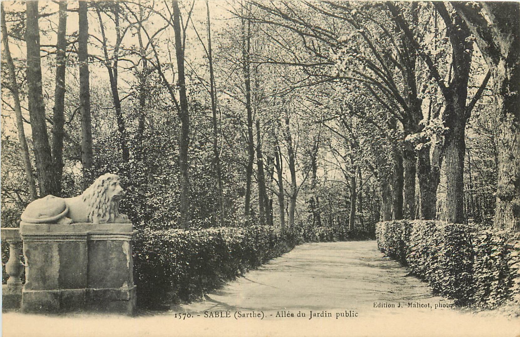 CPA Sable Sarthe Allee du Jardin public Lion