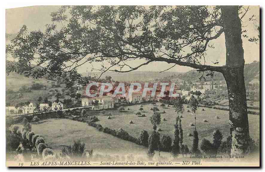 CPA Les Alpes Manchelles Saint Leonard des Bois vue generale 