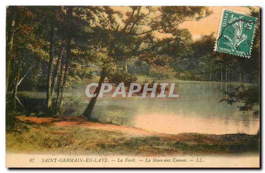 Saint-Germain-en-Laye — La Forêt — La Mare aux Cannes — LL. — Éditeur LL.