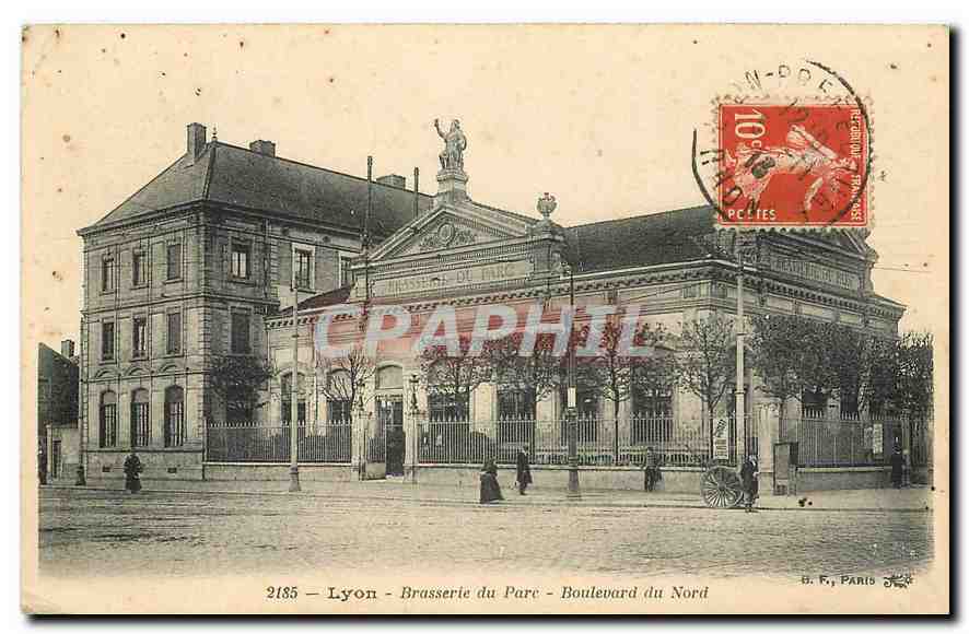 CPA Lyon Brasserie du Parc Boulevard du Nord 