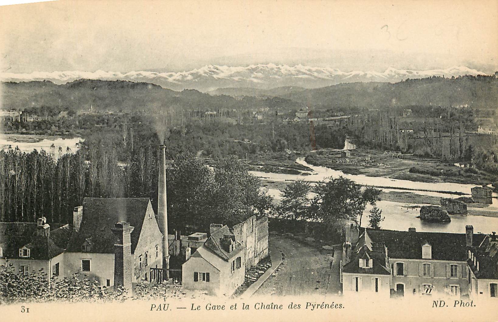 CPA Pau Le Gave et la Chaine des Pyrenees 