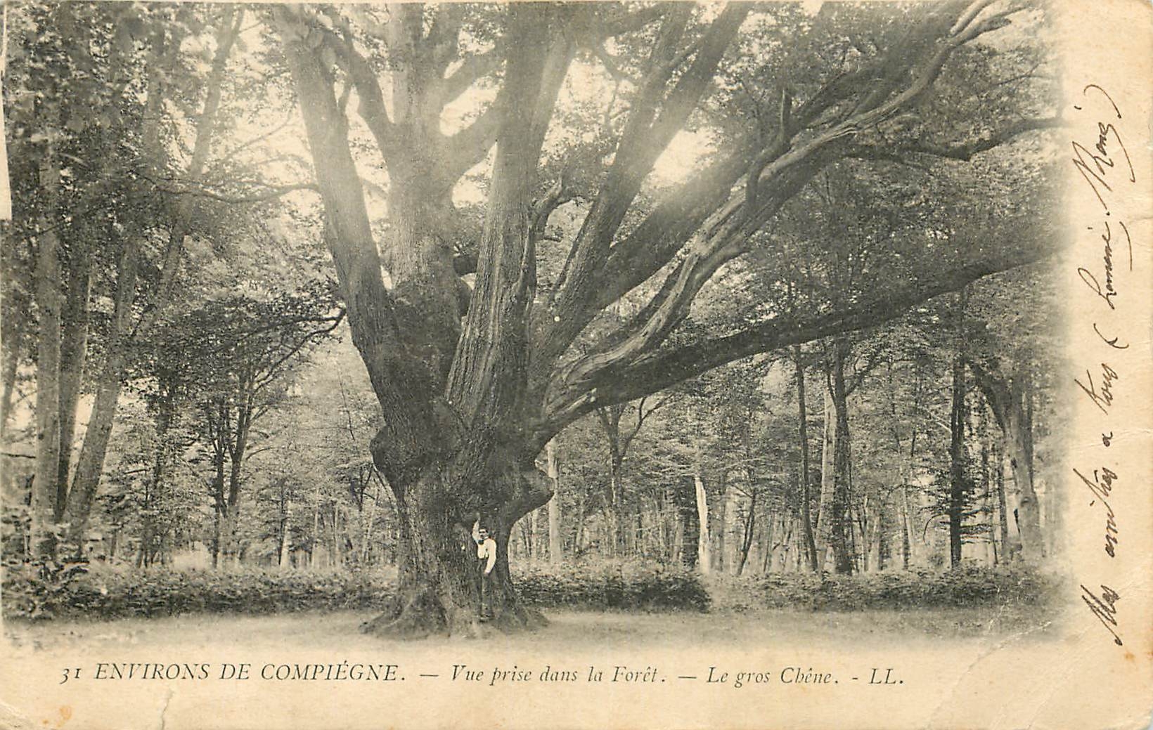 CPA Environs de Compiegne Vue prise dans la Foret Le Gros Chene 