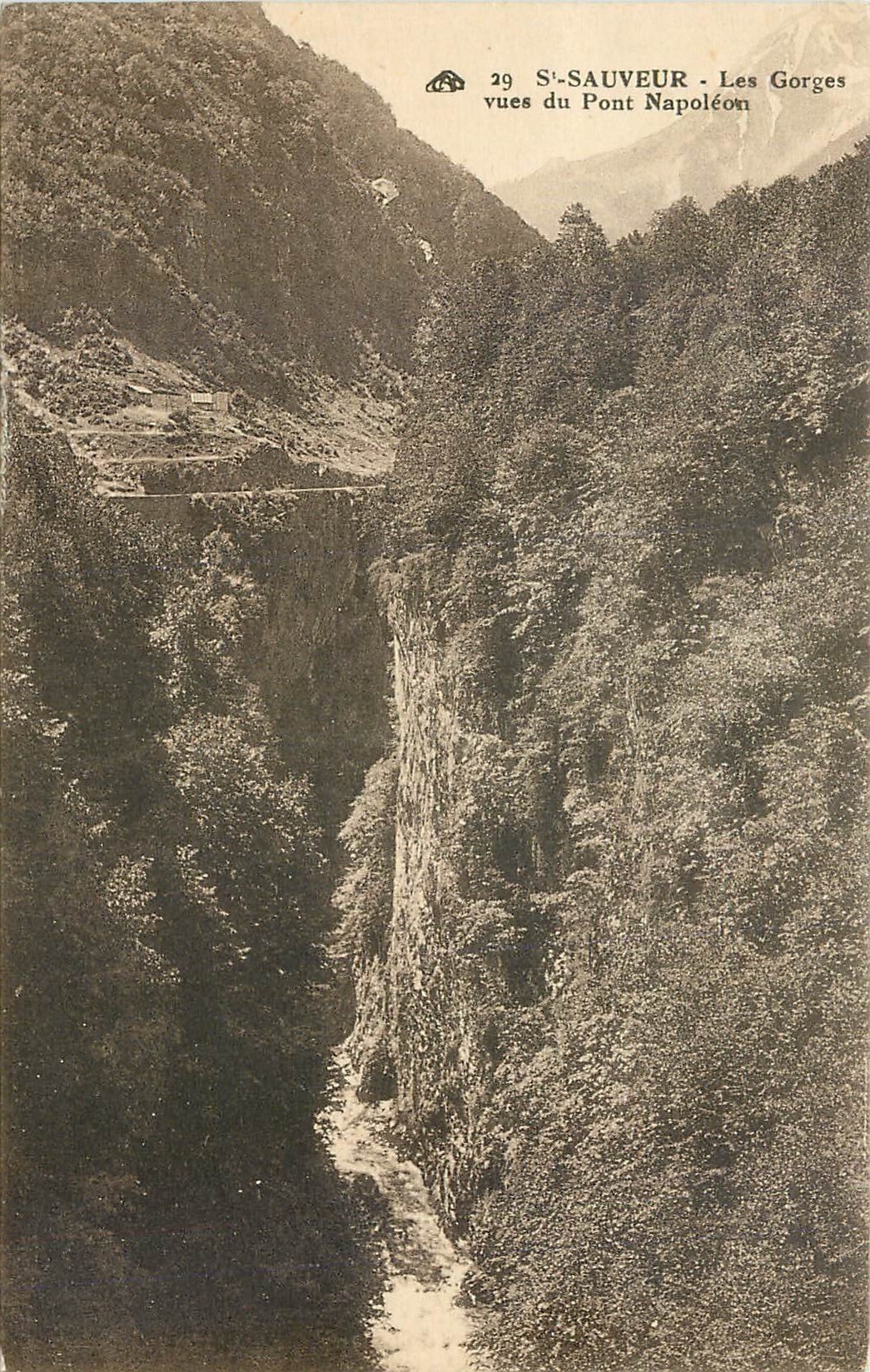 CPA St Sauveur Les Gorges vues du Pont Napoleon 