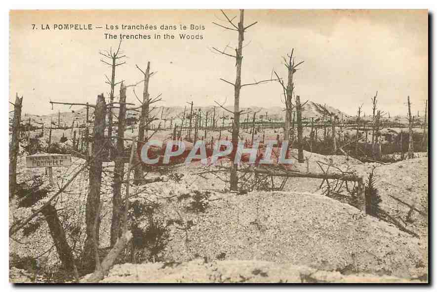 CPA La Pompelle Les Tranchees dans le Bois 