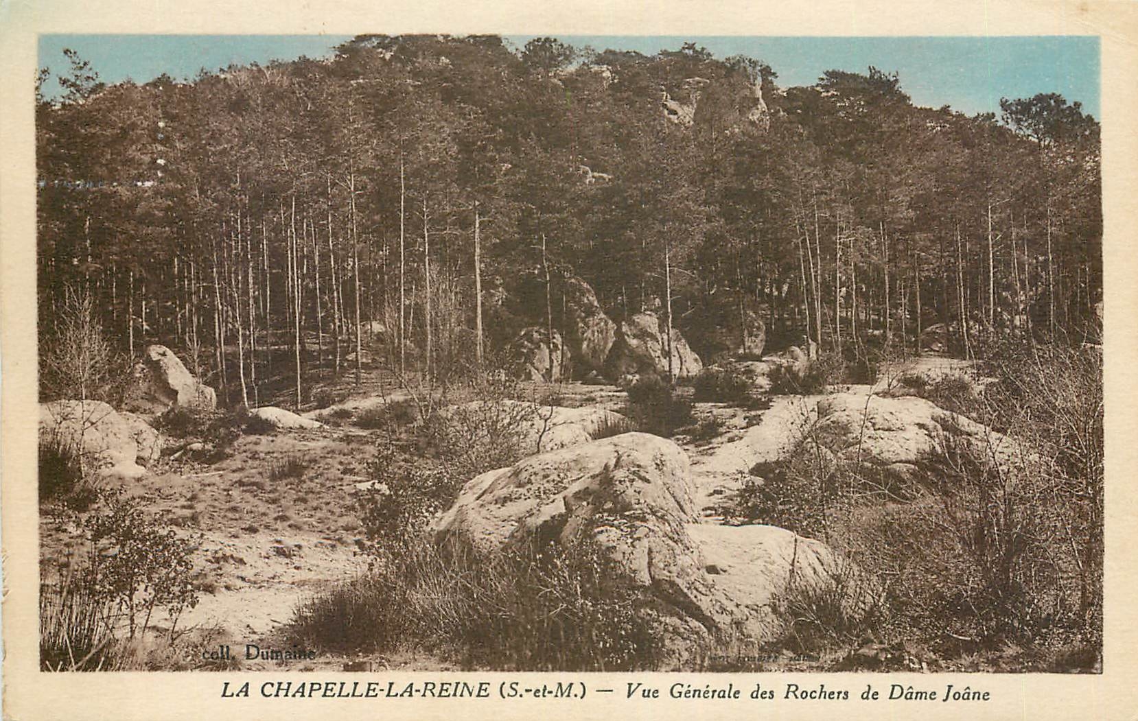 CPA La Chapelle la Reine S et M Vue generale des Rochers de Dame Joane 