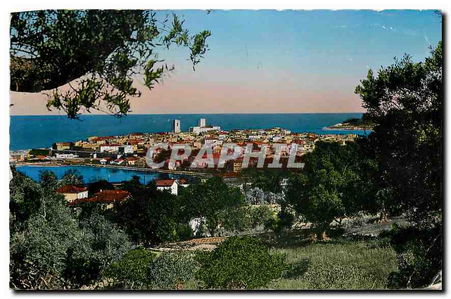 CPA Antibes vue generale a travers les oliviers 