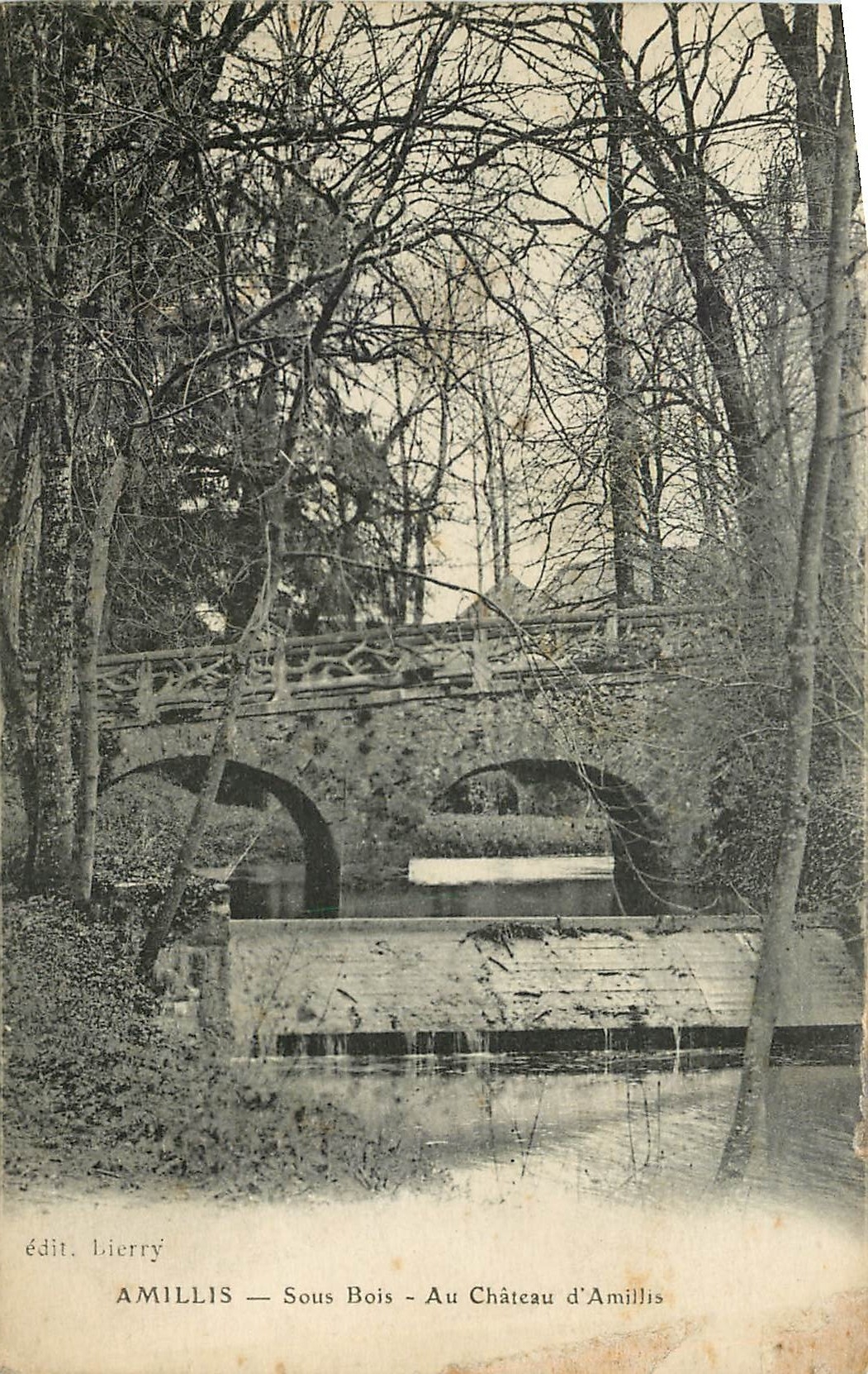 CPA Amillis Sous Bois au Chateau d'Amillis 