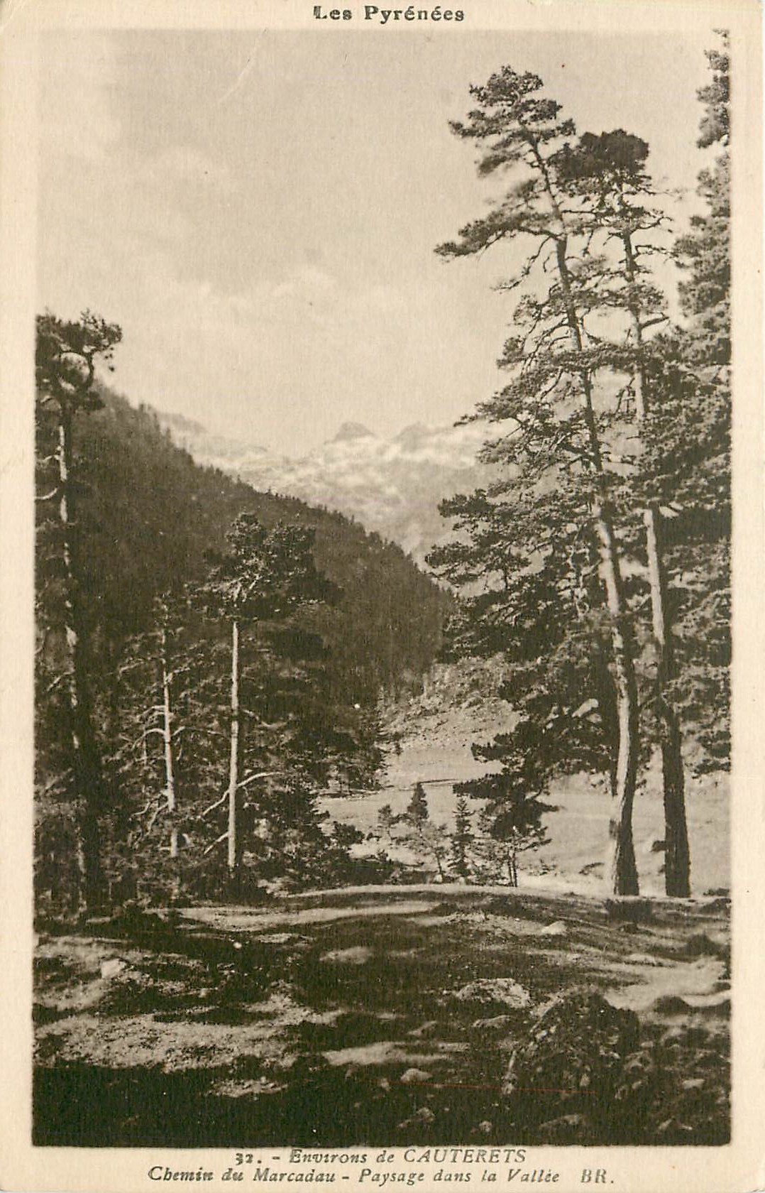 CPA Les Pyrenees Environs de Cauterets chemin du Marcadau paysage dans la Vallee 