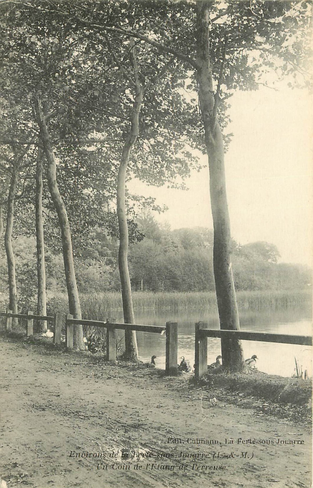 CPA Environs de La Ferte sous Jouarre Un coin de l'etang de Perreuse
