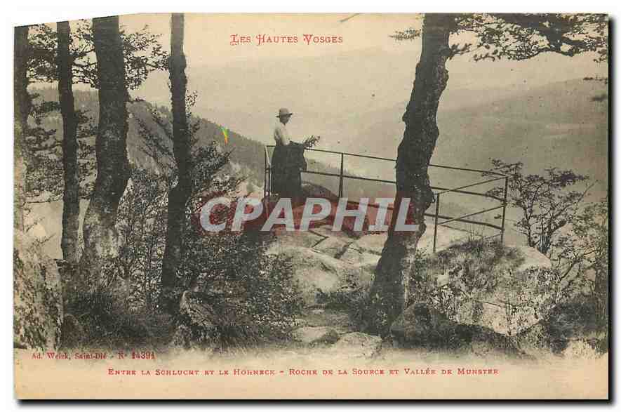 CPA Les Hautes Vosges Entre la Schlucht et le Hohneck Roche de la Source et Vallee de Munstre 