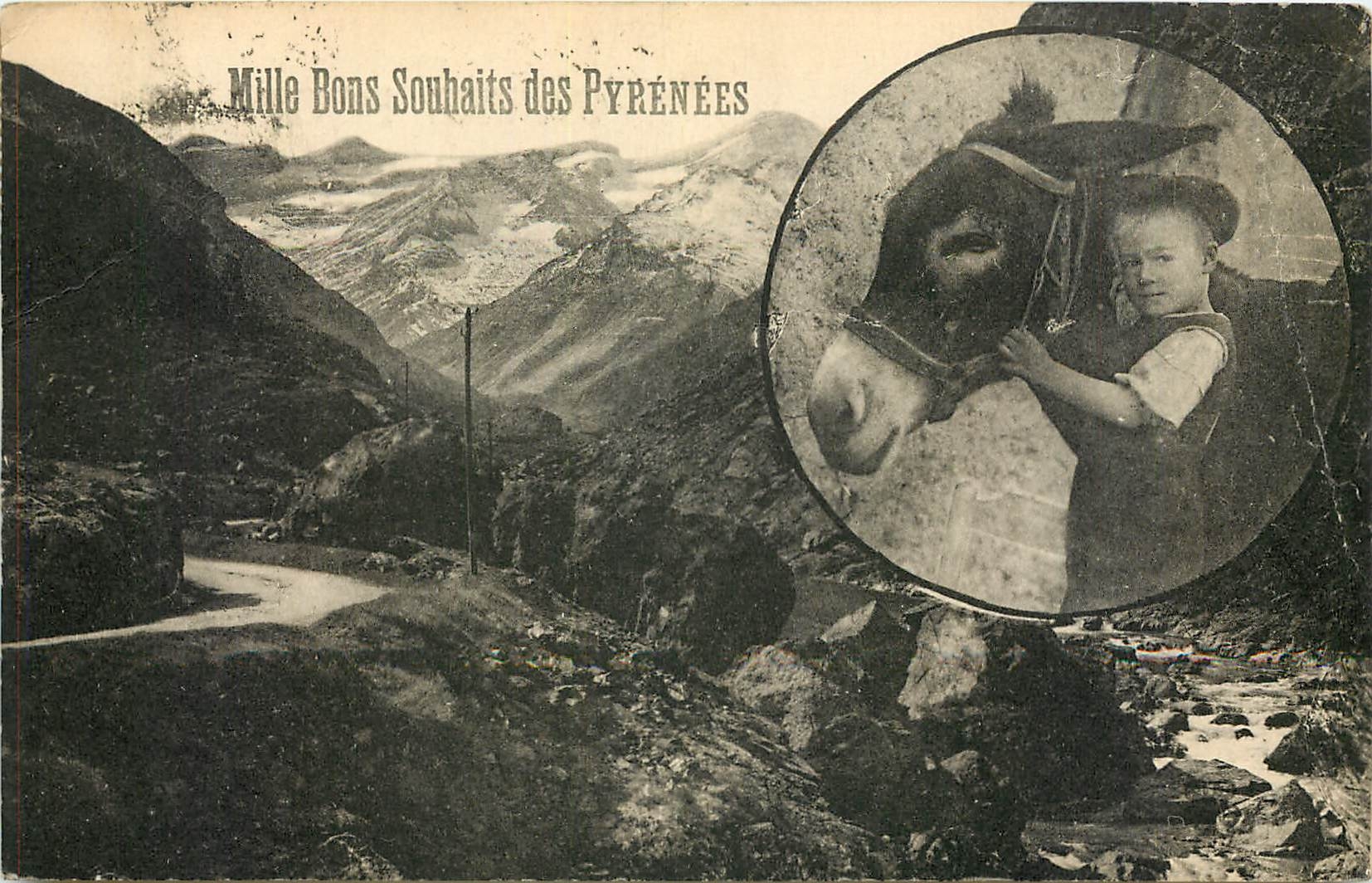 CPA Mille bons Souhaits des Pyrenees Ane Mule Enfant Folklore