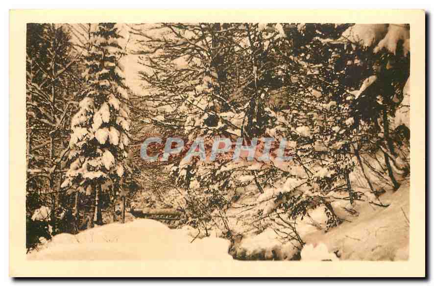 CPA La Giettaz Villas Jeanne d'Arc et St Francois un sous bois d'hiver 