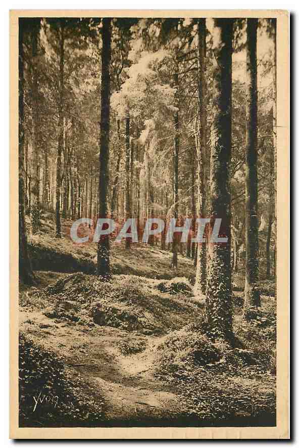 CPA Bretagne Huelgoat Finistere sous bois pres de la Grotte d'Artus 