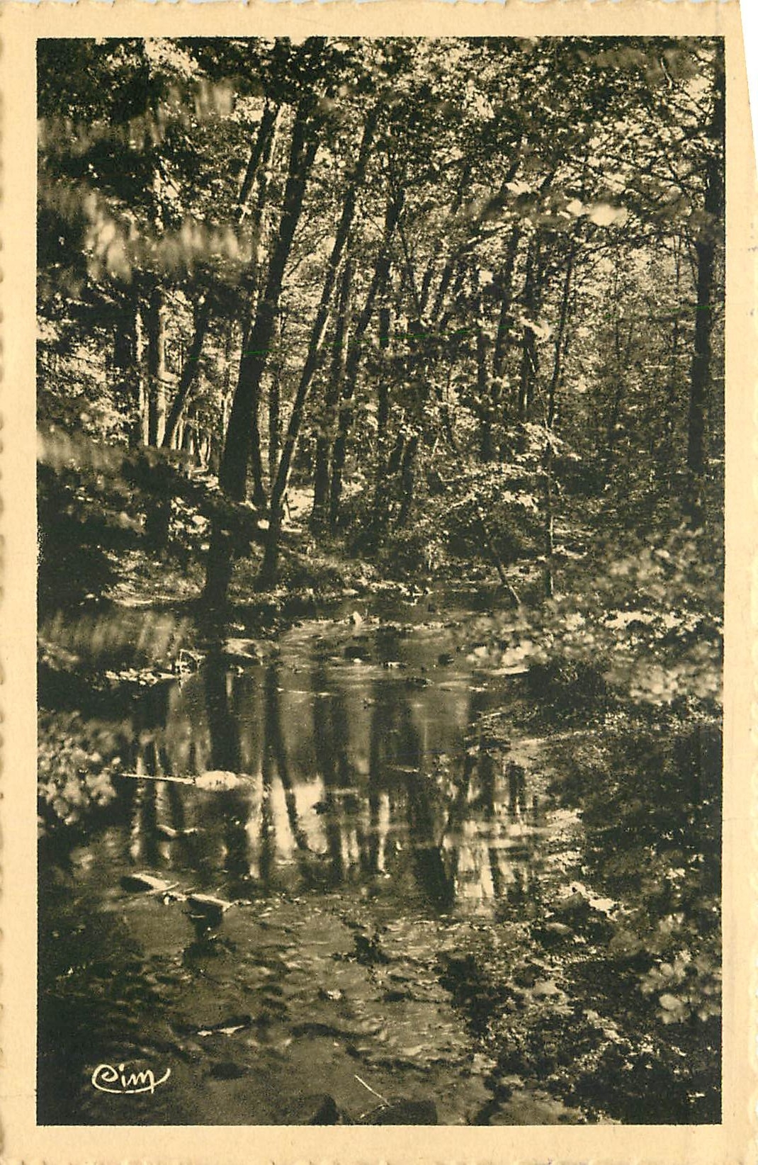 CPA Bains les Bains Vosges Paysage dans le Parc 