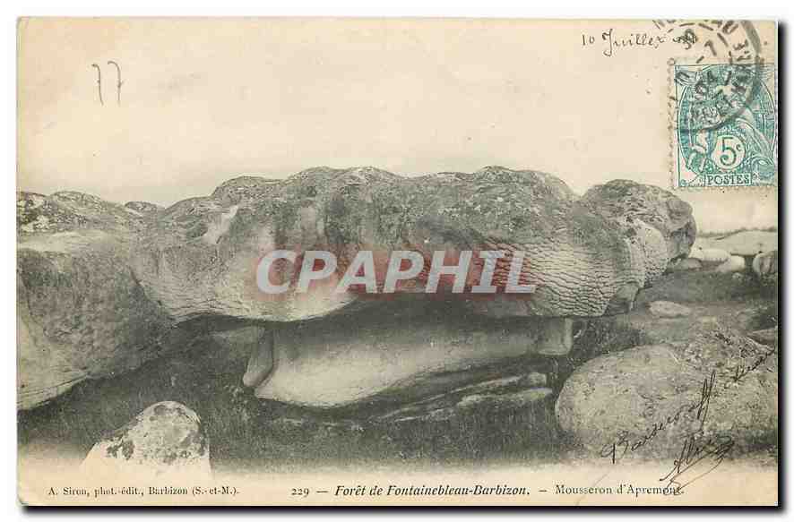 Forêt de Fontainebleau-Barbizon — Mousseron d'Apremonge — A. Sireu, Fotograf-Verleger, Barbizon (S.-et-M.)
