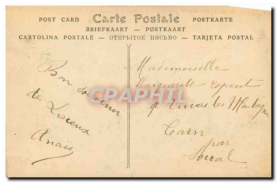 CPA Lisieux vue sur le Jardin public et la Route de Trouville  — Verso