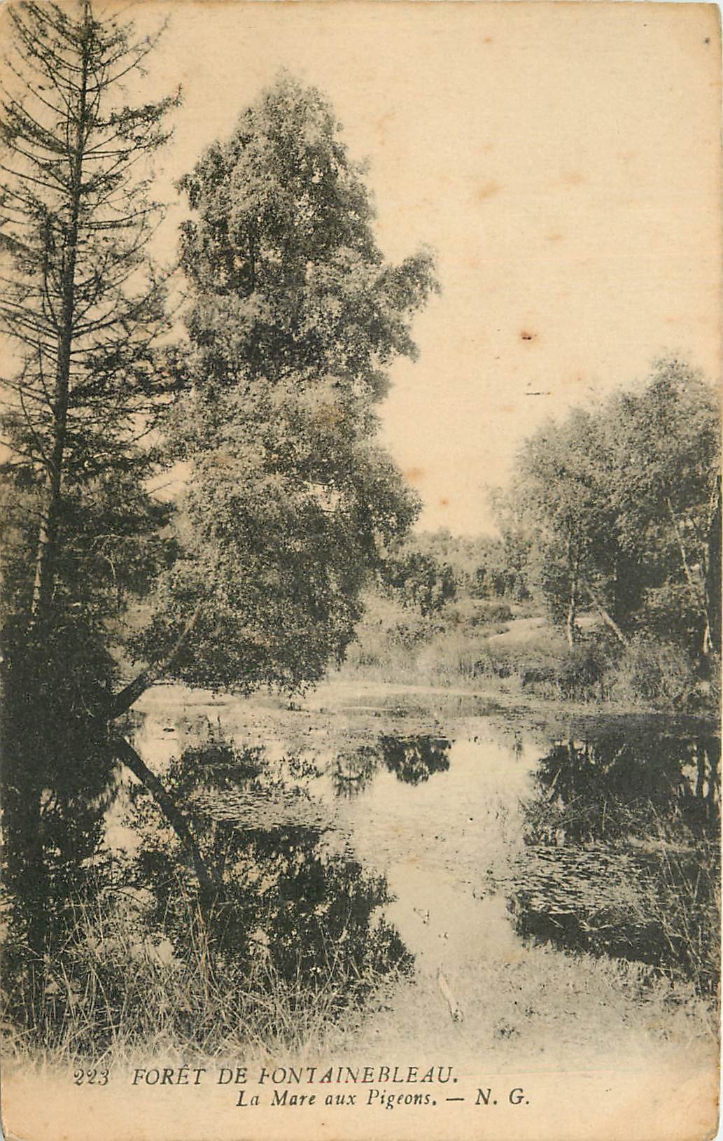 Wald von Fontainebleau — Der Ententeich — N.G. n°223