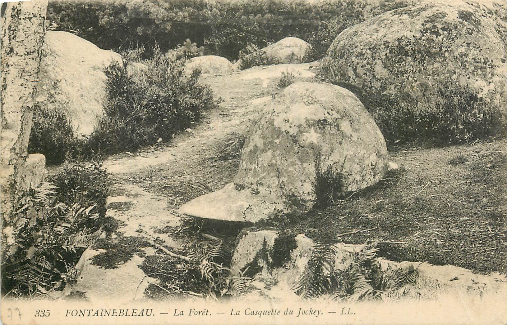 Fontainebleau — La Forêt — La Casquette du Jockey — LL. — N° 335