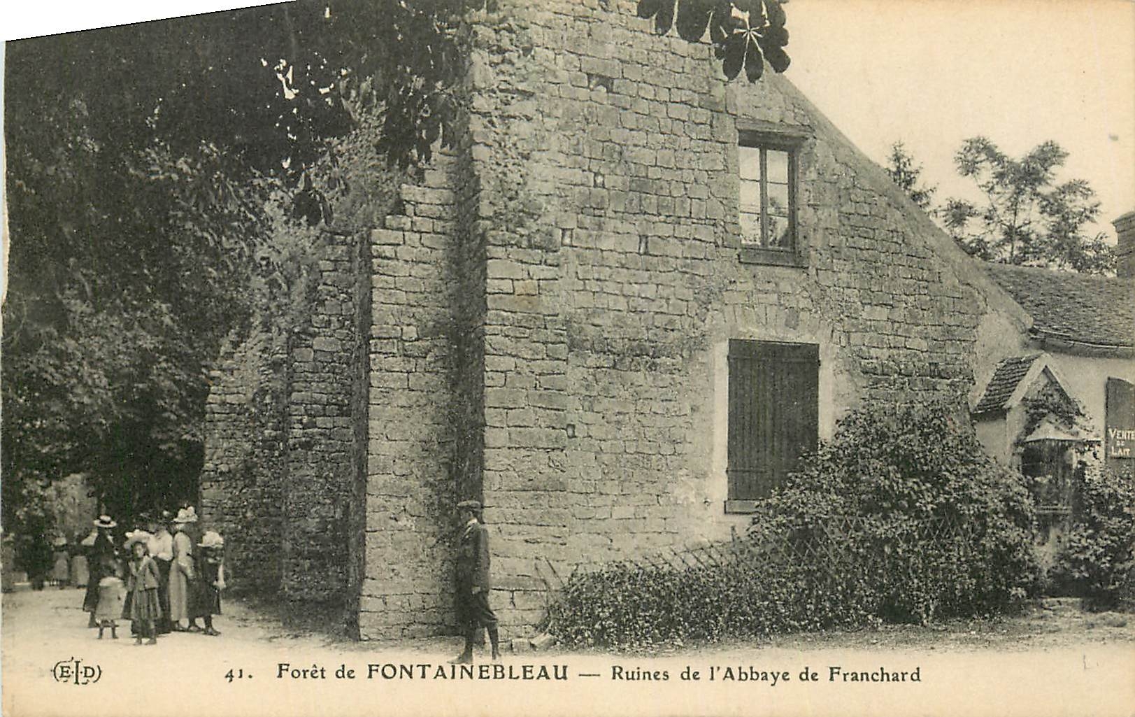 Wald von Fontainebleau — Ruinen der Abtei Franchard — Verlag E.P.D., Nr. 41