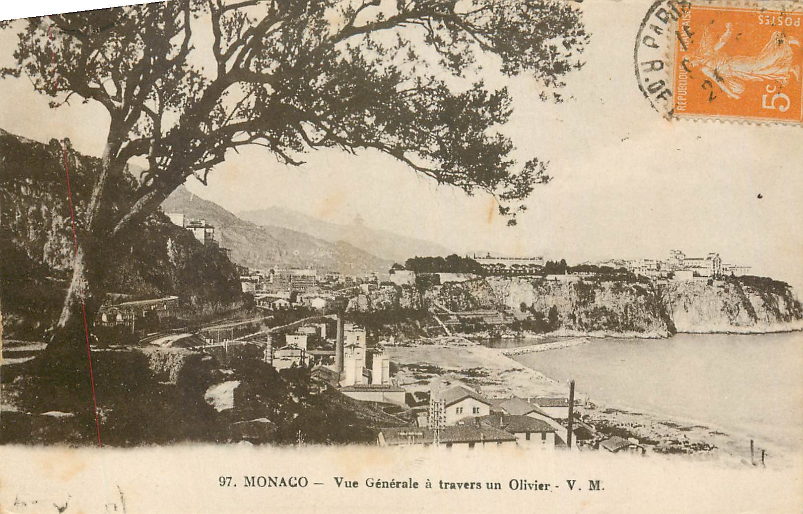 CPA Monaco Vue generale a travers un Olivier 
