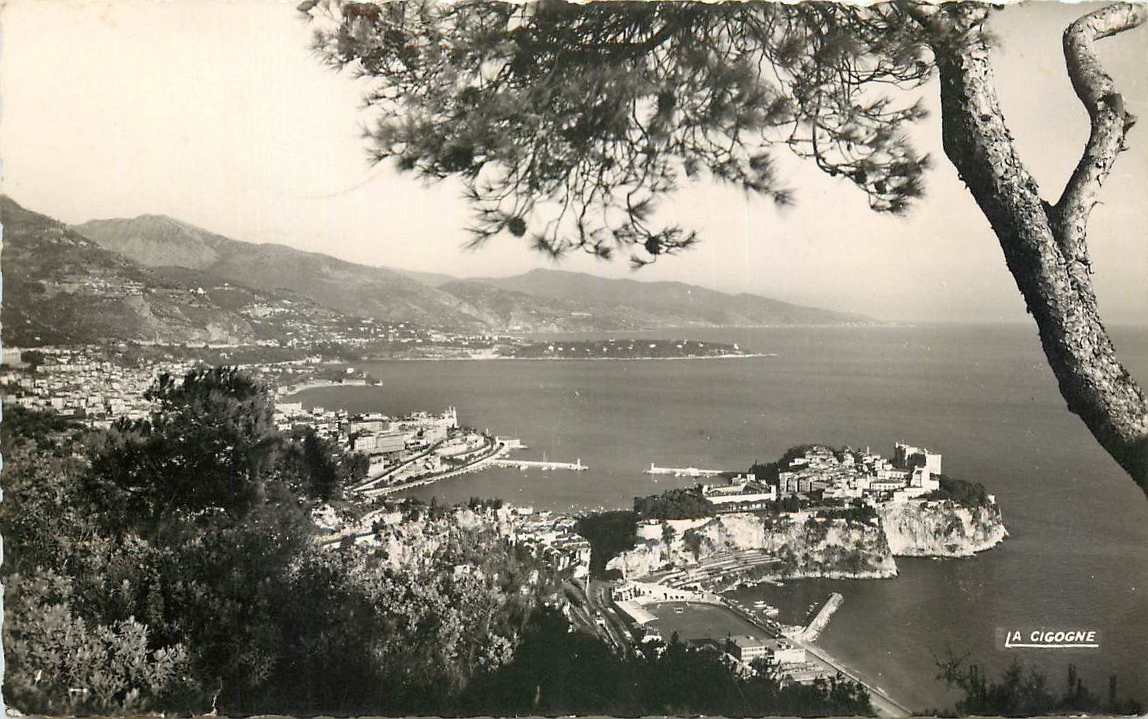 Cigogne — Vue panoramique — A CIGOGNE