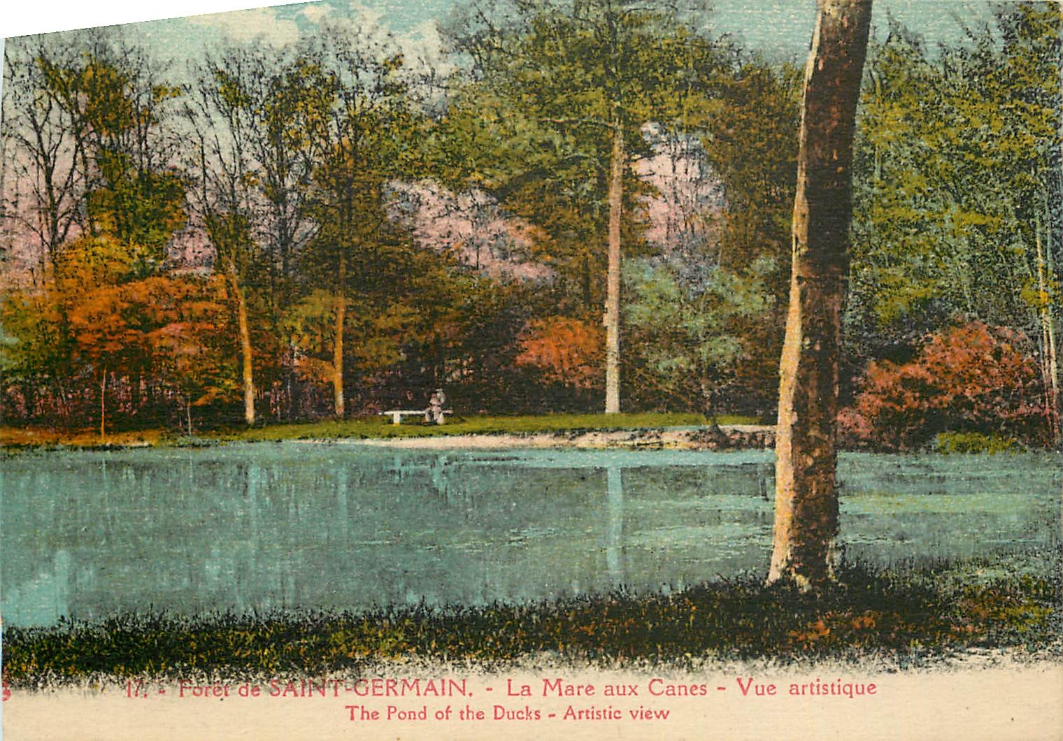 CPA Foret de Saint Germain la Mare aux canes vue artistique 