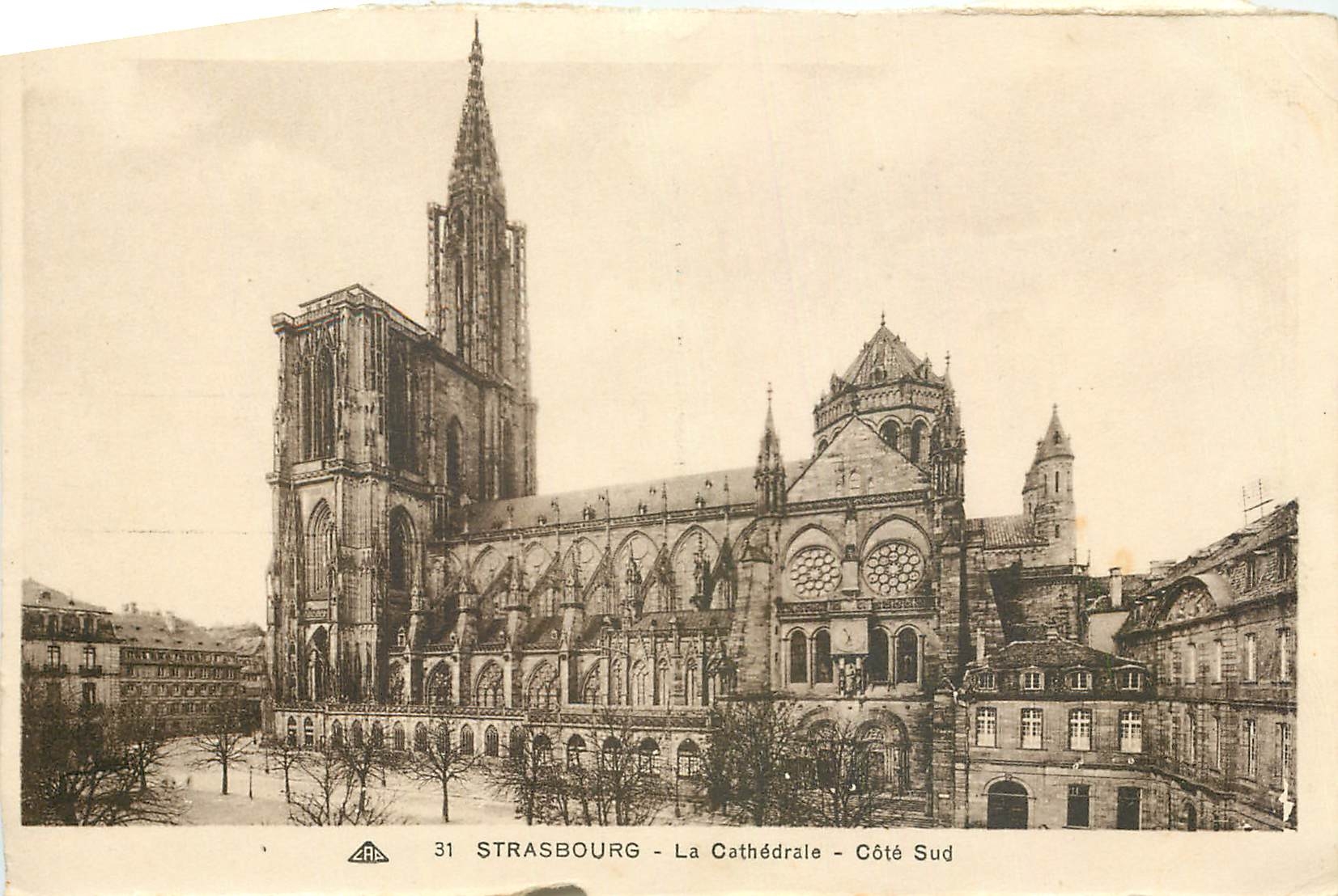 CPA Strasbourg la Cathedrale Cote Sud 