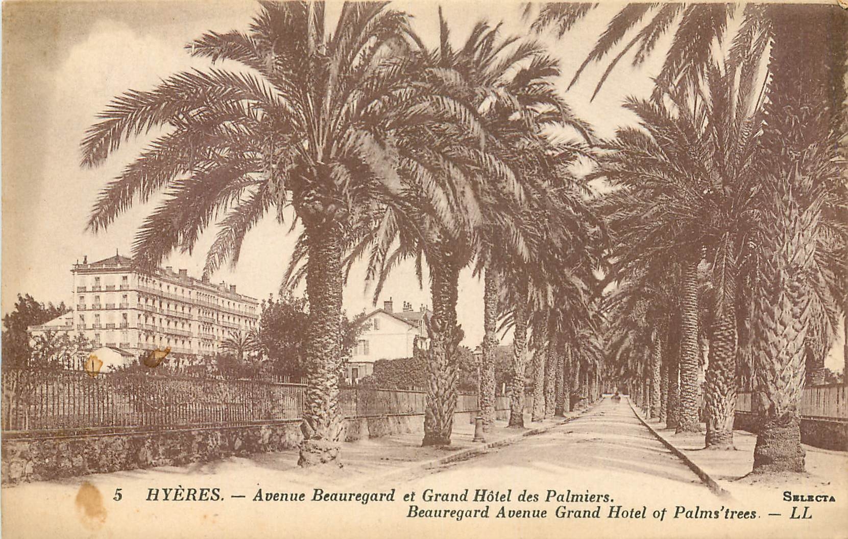 CPA Hyeres Avenue Beauregard et grand Hotel des Plamiers 