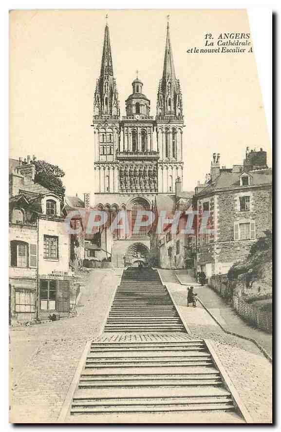CPA Angers la Cathedrale et le nouvel Escalier 