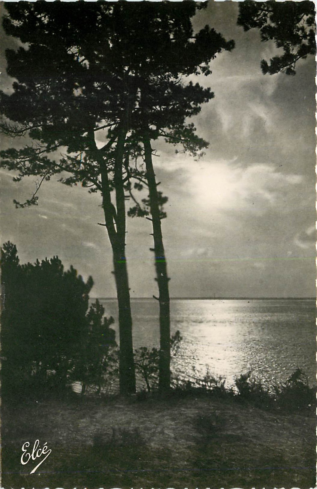 CPA Bassin d'Arcachon Gironde Coucher de Soleil sur le Bassin 