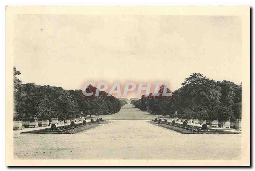 CPA Chateau de Compiegne l'Avenue des Beaux Monts 