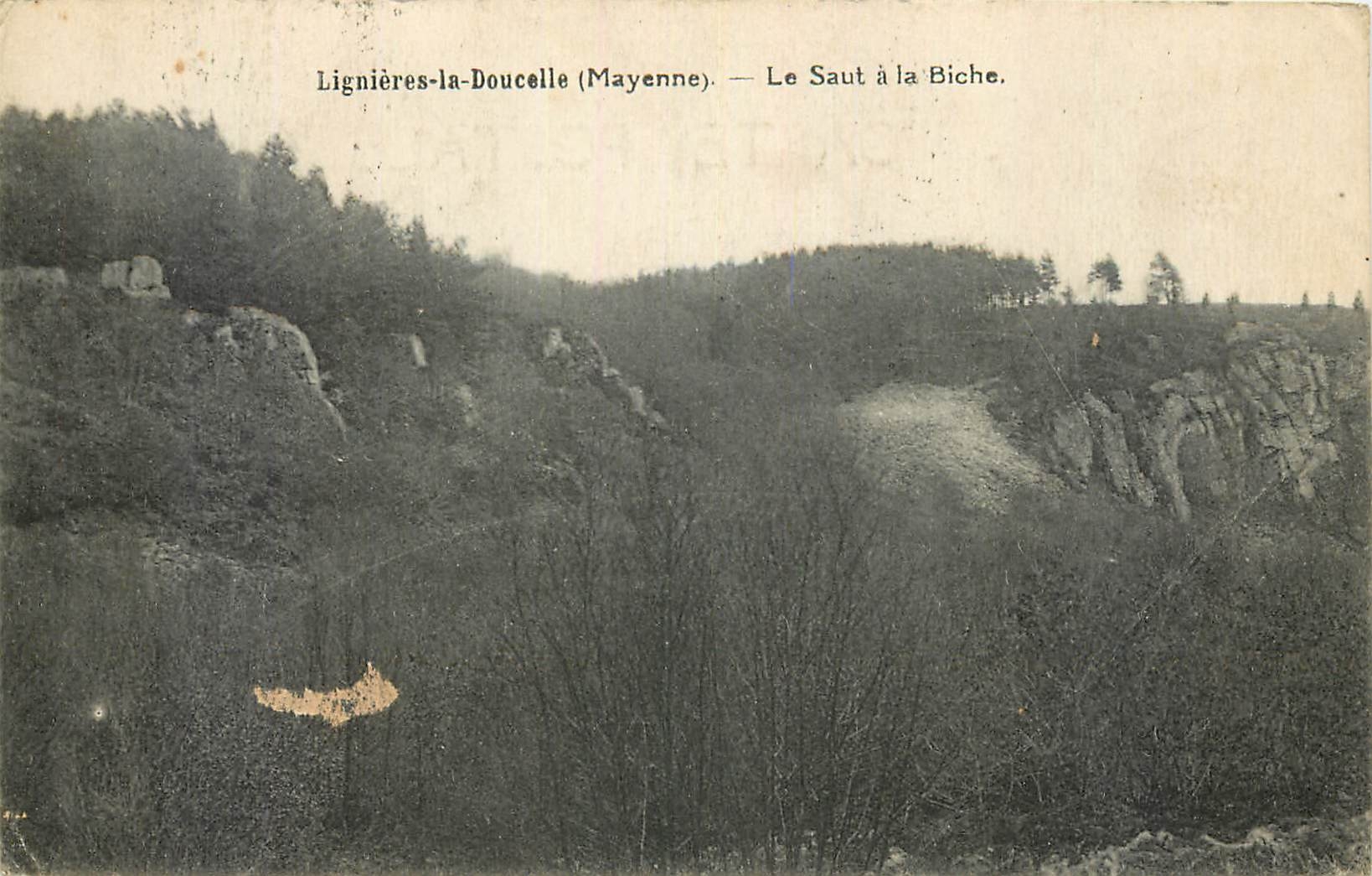 CPA Lignieres la Doucelle Mayenne Le Saul a la Biche 