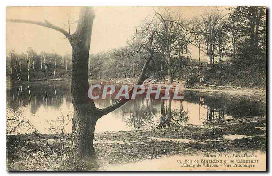 CPA Bois de Meudon et le Chamart l'Etang de Villebon Vue Pittoresque 