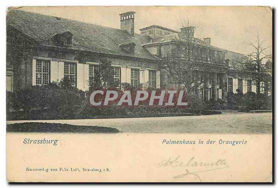CPA Strassbourg Palmenhaus in der Orangerie 