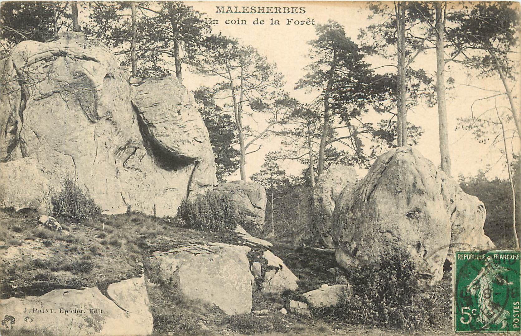 CPA Malesherbes un coin de la Foret 
