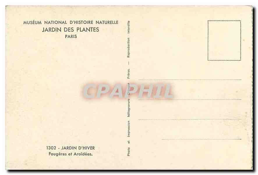 CPA Museum National d'Histoire Naturelle Jardin des Plantes Paris Jardin d'Hiver Fougeres et Aroidee — Rückseite