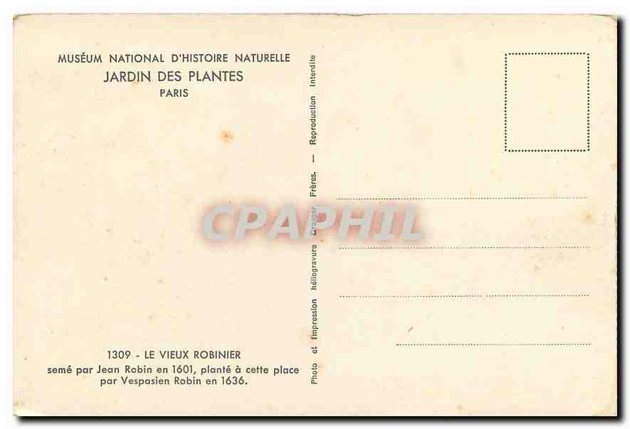 CPA Museum National d'Histoire Naturelle Jardin des Plantes Paris le Vieux Robinier Seme par Jean Ro — Rückseite
