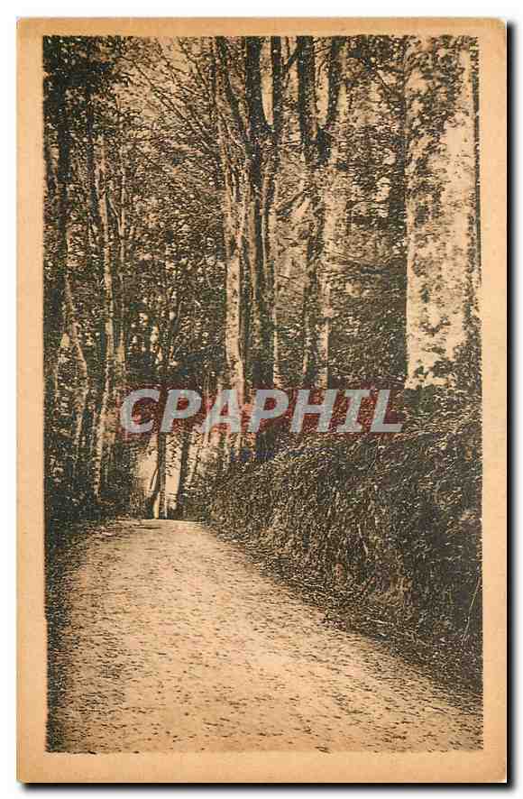 CPA Saint Brice en Cogles I et V le Rocher Portail sous bois 