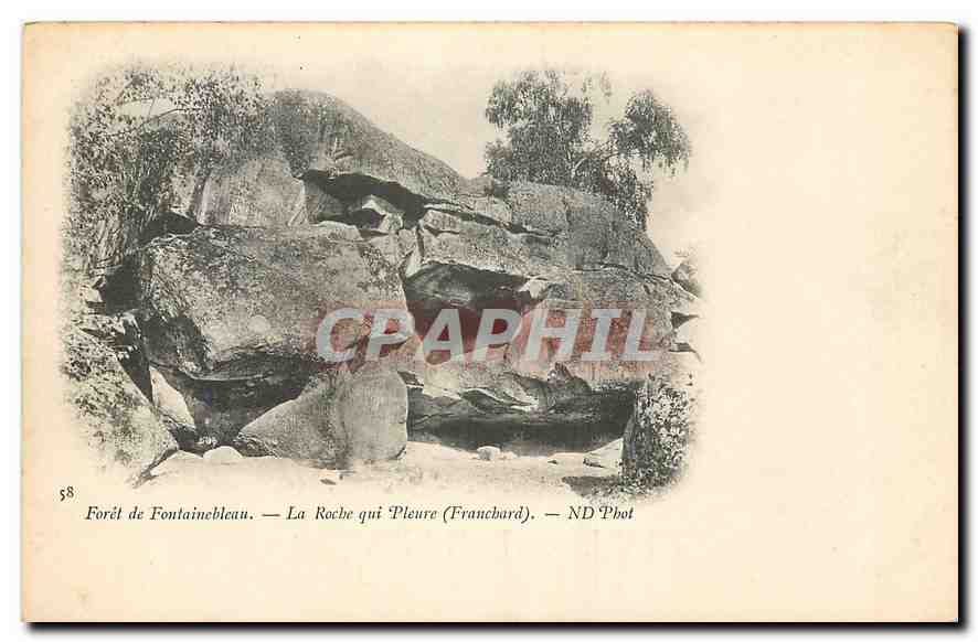 Forêt de Fontainebleau — Der weinende Felsen (Franchard) — ND Phot