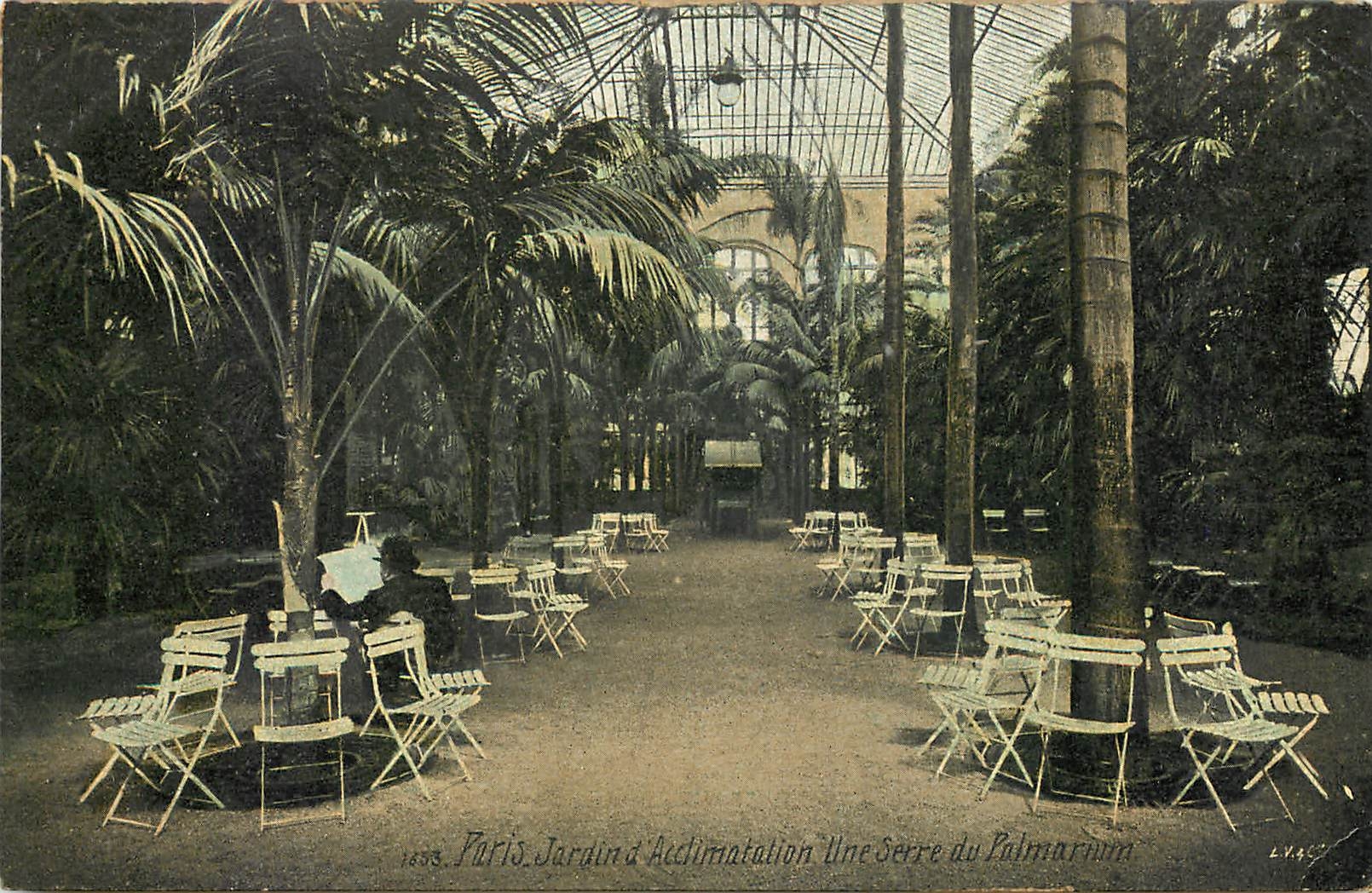 CPA Paris Jardin d'acclimatation Une serre au palmarium
