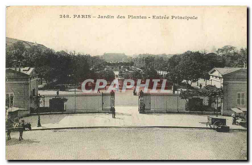CPA Paris Jardin des Plantes Entree principale 