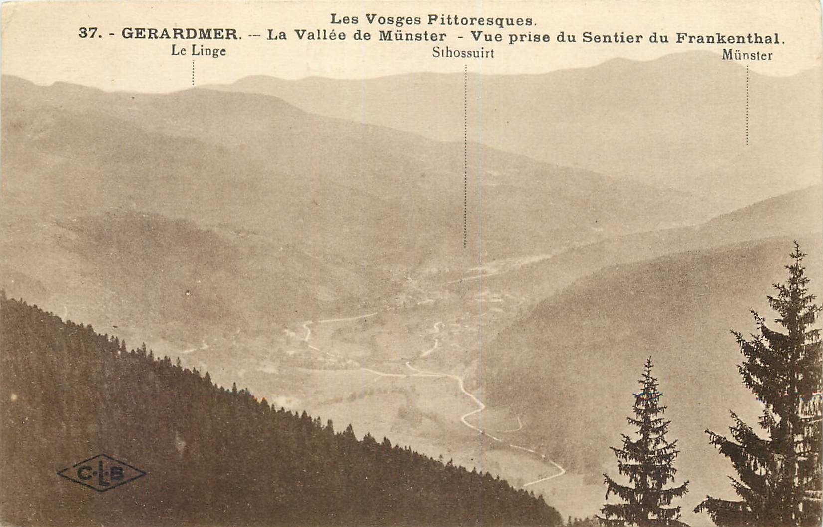CPA Les Vosges Pittoresques Gerardmer La Vallee de Munster Vue prise du Sentier du Frankenthal 