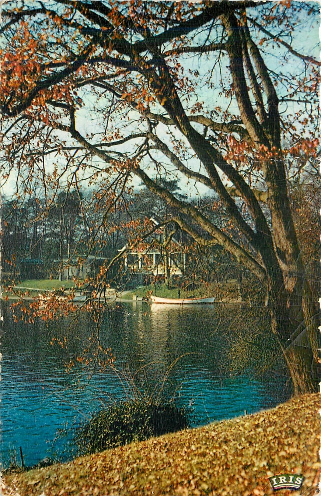 CPA Paris le Bois de Boulogne Paysage d'Automne au bord du Lac 