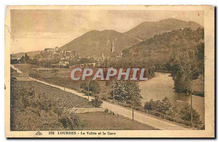 CPA Lourdes La Vallee et le Gave 
