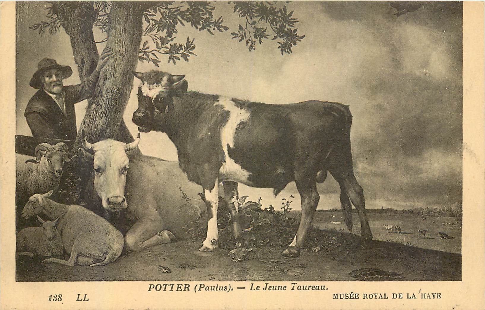 CPA Potter Paulus Le Jeune Taureau Musee Royal de la Haye 