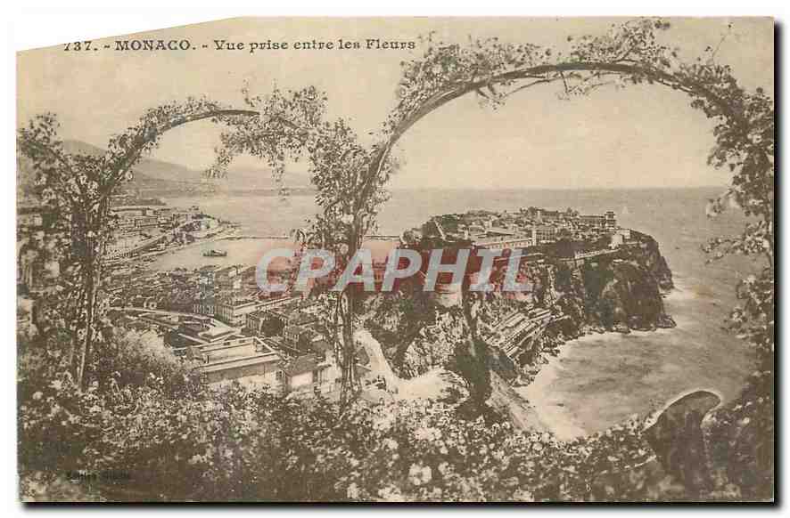 CPA Monaco Vue prise entre les Fleurs 